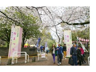 武蔵野桜まつりの画像